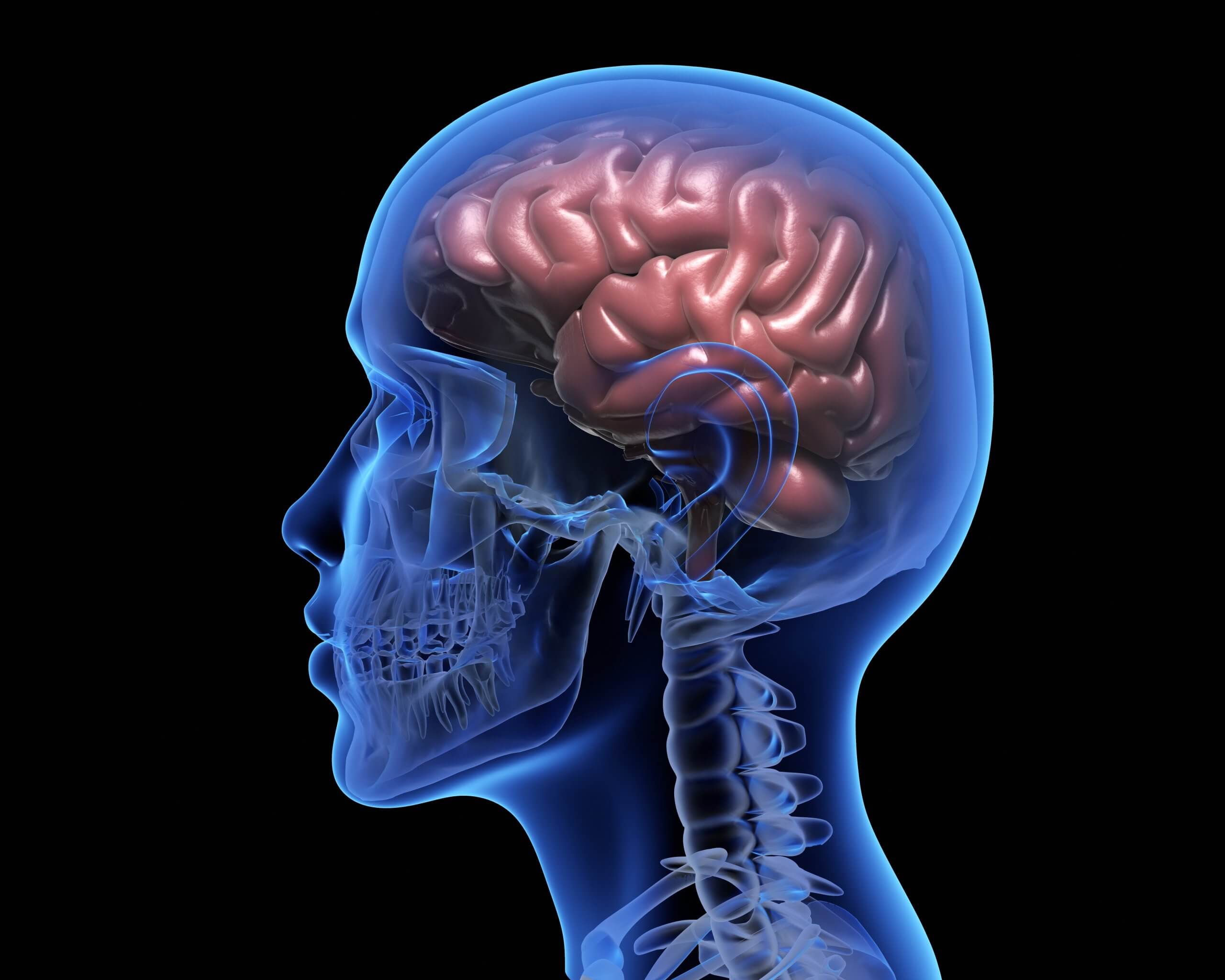 Human brain over black background. 3D illustration